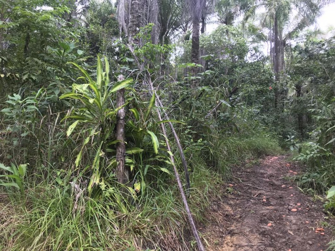 CQp1iQkqgSLEoQICVahipJk-LmJeIcgu5HITEXM_EtSLZV2bduUIXEFODR8RN3EtFLYQJA54H7-zuk2Wyfug7fFuOyUrCHn5SGYESK2COYh_bJA=w1080-h1920