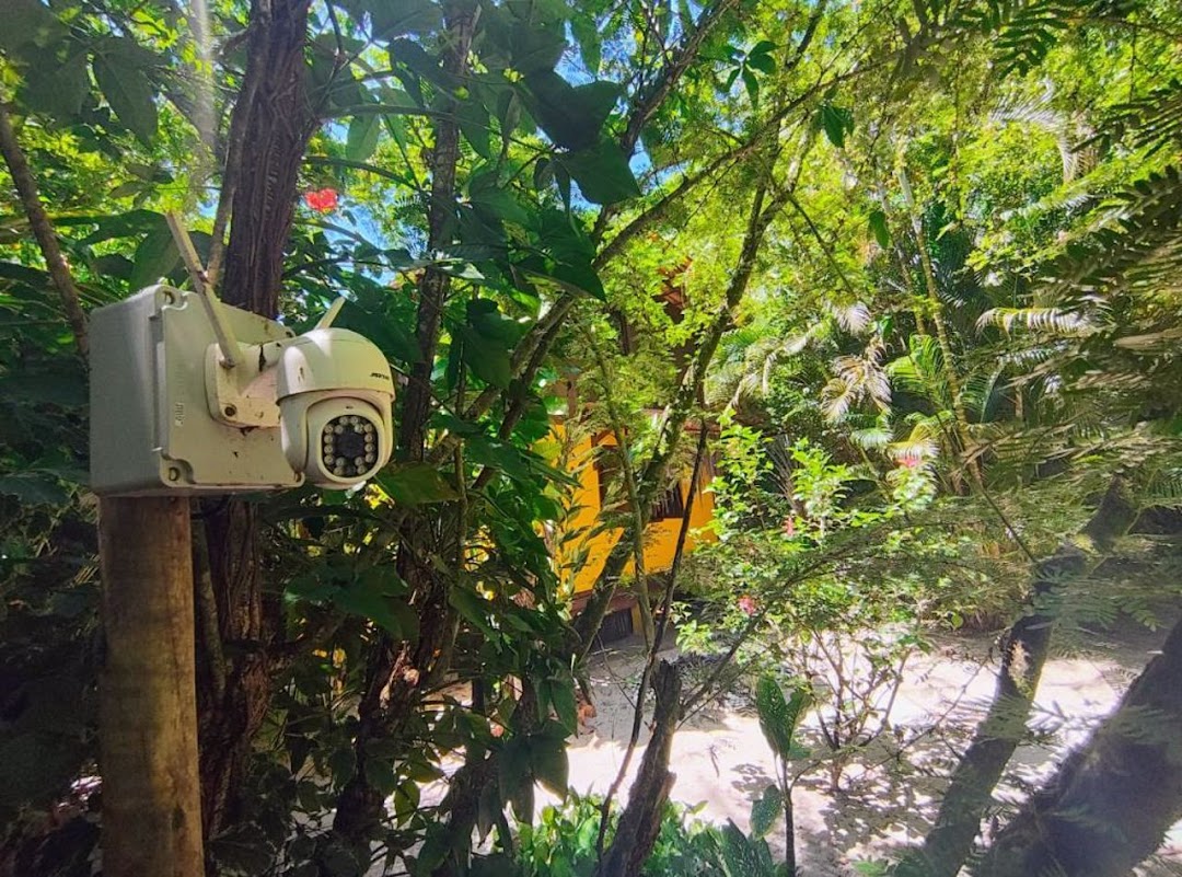 CfhtFmkO3RUNcGX84OUD1Gv8YQ2677_JPizjHYhoaJnQsTMDsly-aVbuaNrVFw1GQByFdG-JNt5vLiix0o48XrI6xoNJ0NwrciNuZ0tuLQ4jJPQ3=w1080-h1920