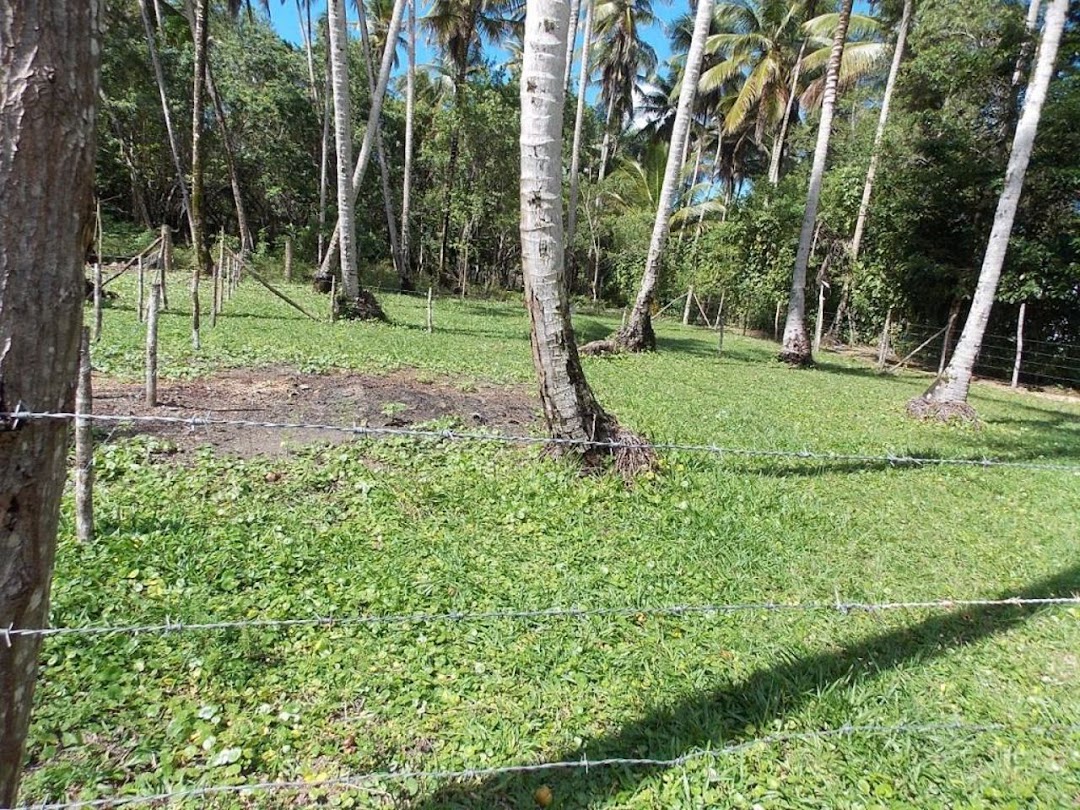 FSGbAVf1yZECQ13U3Ohq-MYp6yYOo4F0zLK7aHPvrFKpflf6AEcDfmtUUbemVLsuCL7OxOfnkJksJVGZg8m-YLuZgvx7lviJIQBqWraBIDamT5eH=w1080-h1920