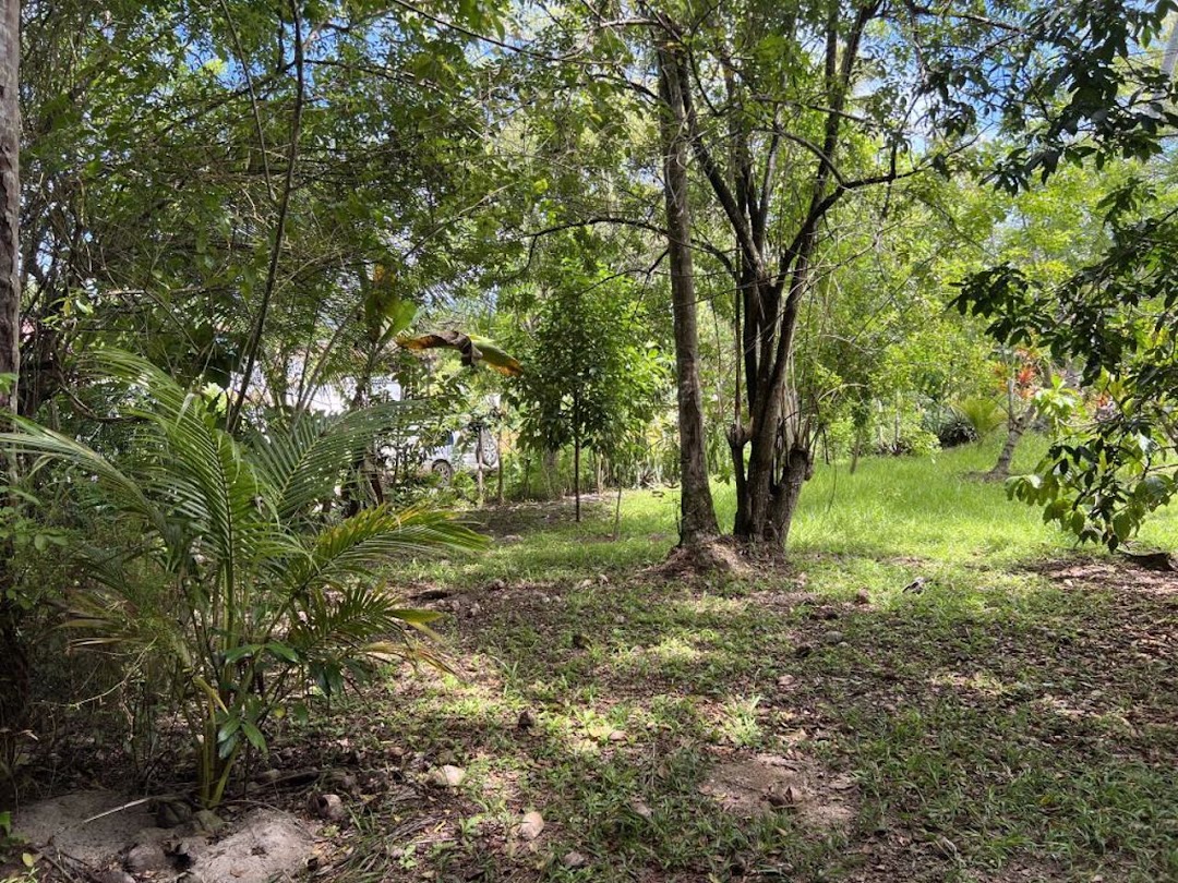 F__Z3x4n8TKMOdtNJdvqs86GJ_sXFWdzDNBRtLWAXWploDvD4MFh4XsmDR-ZXn3_Hi_Aoz959jbsET0j0FobjiDCeHgWZM9ez8CaaLJfzfgAjw=w1080-h1920