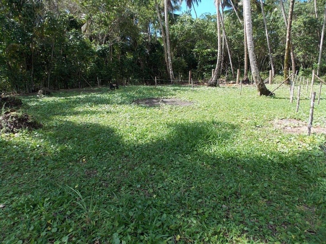 FrNGeVreMqS_umP6J-2ahIaEpQuPe2b57W187rEoeuMowXeo8scSh36zskcsS8-glXr7ONgLQglh6kOkK3XO8MHwHiDdBC4oguClW3Vdt-r52tM=w1080-h1920