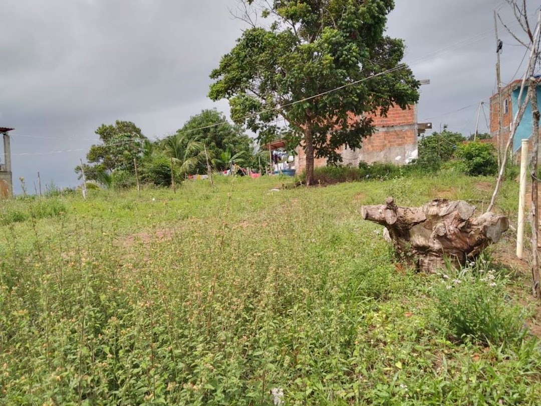 GR74RZpIUyNGui0RHp1Y3KO5KHGXY7J3p_2gYyBU7kmEYAaN-zH6izRwr9u6LwPWqgTPDNk_SyvVHeUKg2xElIeSQ8FgUg01imAsvdbRd6tnzWc=w1080-h1920