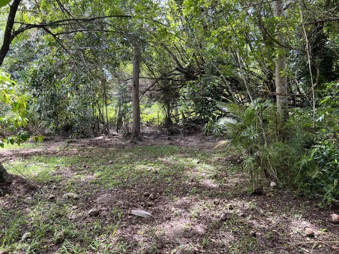 GgU1HTPKz0YkJ-8_zhQRiqmJIcqsTuYcH38ZWR8geZHJgW_xGiywBhyRqBpeUi8WszRza19Z5lEh93IHWmirEcn_Rd_H7VQomY9pWBq6F-MB8R6H=w1080-h1920