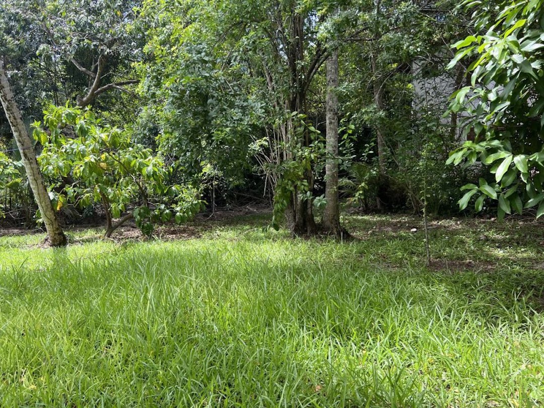 IReIZEpNwMpotfh6j77-e4yW-ZJfl6oHX_zcukQQqWLYqUvWUmdqnZddQ7we83zZ59pKIIHqZM0V_I7ikxIIFjBN4wCWEFjCfNlN0WyNPw86ERI=w1080-h1920