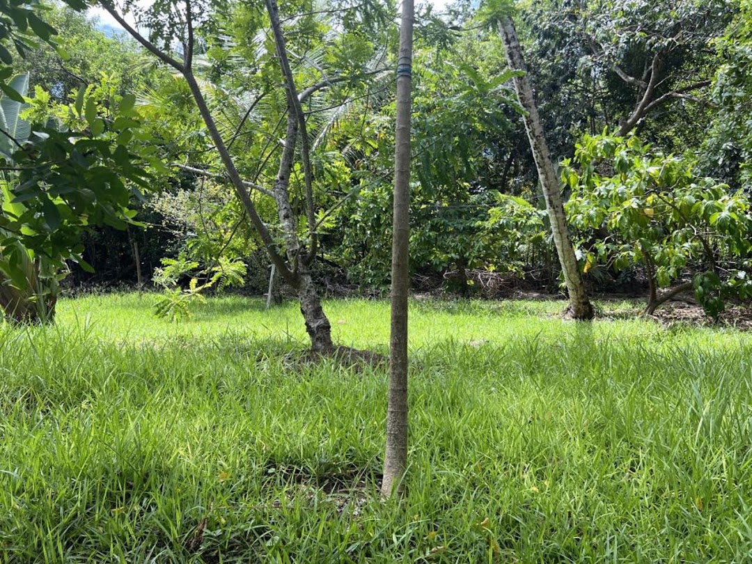 JX_O06BTeUOpjNwYEgINbk9Mi5DNm0PGGrFihsrTwyHNBE5QSjS4vhyGA54TqkH6V918V6g_mm4HJXj5uodha0OWI3u-e9P66dJ9x50AYmaL5A=w1080-h1920