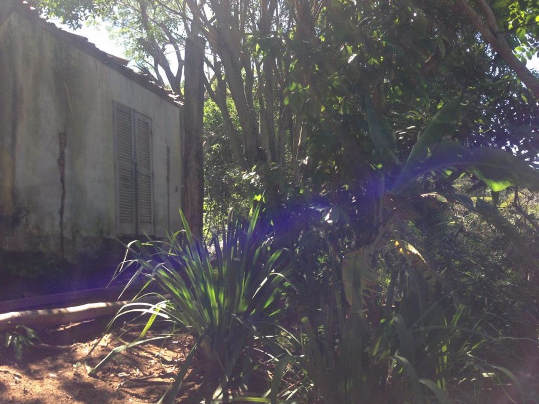 M0-NRBuqpY15yvWbyjMBHc7xBsox817x_rlrNl-8lZfIe2nORoep6QO75thV6bD-kY-Tqifz_FMgnp-vSnokUrKChNUMQTFUGC-PbQI6w_h6VtW4=w1080-h1920