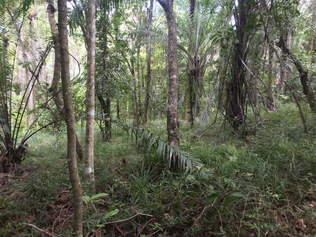 N6KcHnu2RQ8XtHB99VLZU4m8oVjJffSTEH8ISd0nii03KTyoBn-dYg8vgaaNU7UvS3uUTvBSGrCCbc4Z4jKdIBlzGOv-dlKBXLzGwDyqZgn1fvY=w1080-h1920