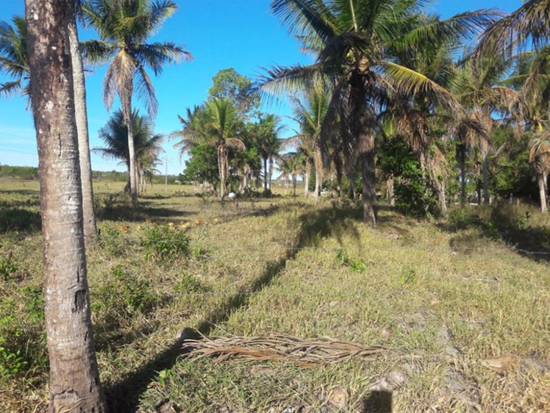 O_i6FMOhMSM-0EnTSh0Fx-p-hUaYHWnI49n_ePW5pufTA5mqDWIDi_YfnIkteLWXfLIIWP0bvhFokHCKDWgS-SLh2_EoM3aeEBaEzd1g3rnbC94=w1080-h1920