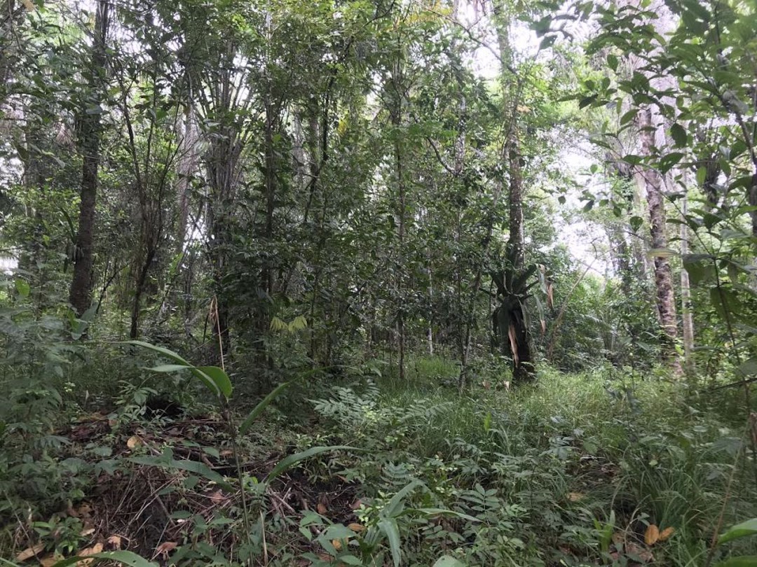 QCZBp4KPKQh4s_0hRLHmhnmHIPKUNBM3jTyOOPEpn8gtCQKxOns4pJxpQJ_4tzucvY3ErWkMUMe5948r3LQYHn-7ph702gvBX_G1_f4TUR1XMKI=w1080-h1920