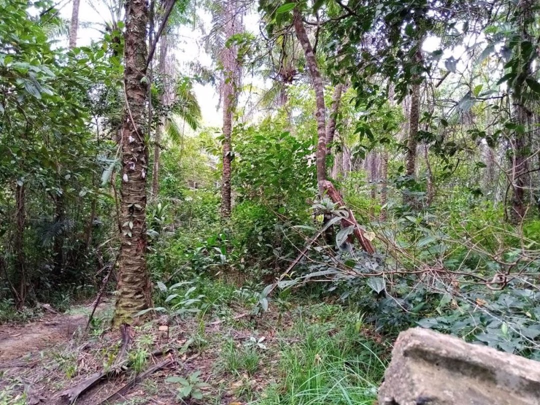 QHxnyQ48-oPHzAFoOt89FFQqZSjmvOlG55B8On0w7EeujO9zbDMk-3M0OxvdF-prKmjELGXQ1u9fj0YQSLPXo6ypAdn2Z3T3uxrSpet1dPMtOuo=w1080-h1920