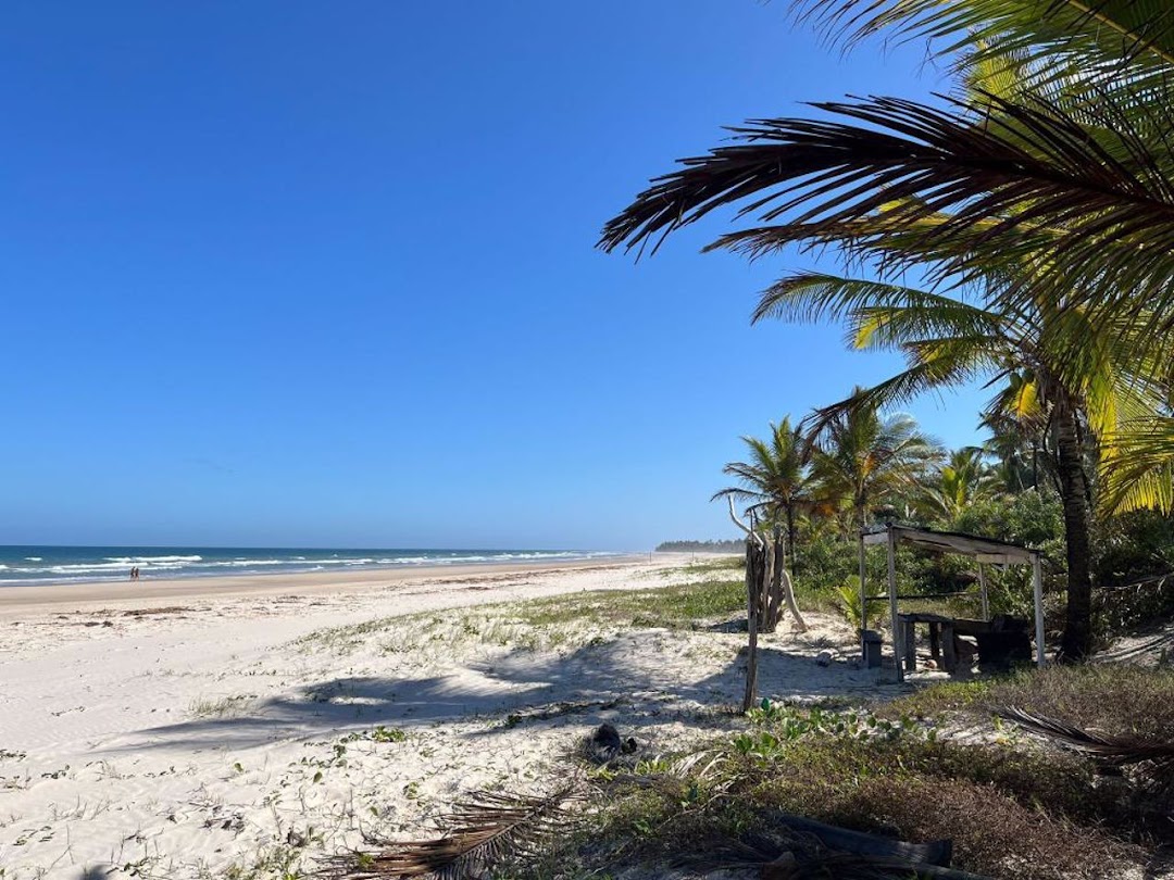 -QlYtNY4SB71FIg6eu4p-lrIuYZXAA01kO7kLIM_65IC5yRueWJ1rMMBU52zN9pHcui3hZpUJRicyNlMxckbqPZL32xnBeFBuWkfPDI1oEietJnq=w1080-h1920