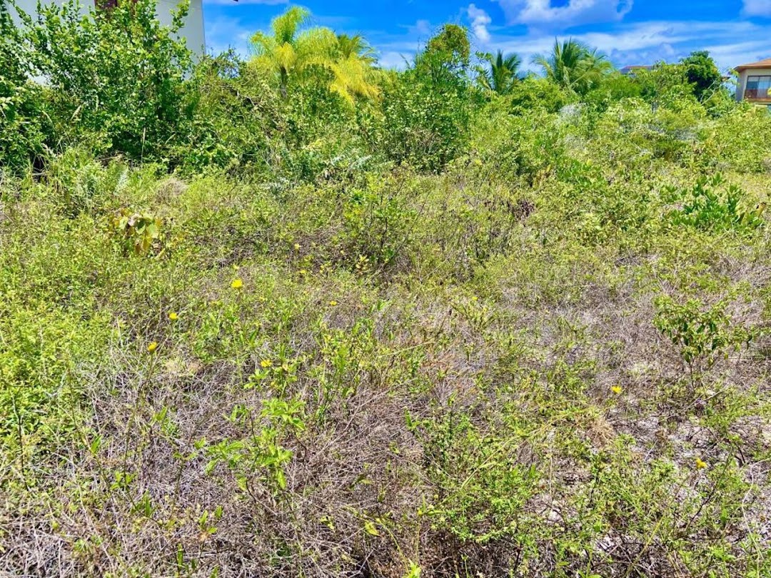 R1OiVlhVvyWB726LnLuMg6rkq1ns7NFGkwnGrx_y2ZJ0SOHeD4NkNBDhairtLC8pgD2v9Orfx6Jmonk_iwW-yaXonRzCGpPMU2jKo7ENKjx6uLQ=w1080-h1920