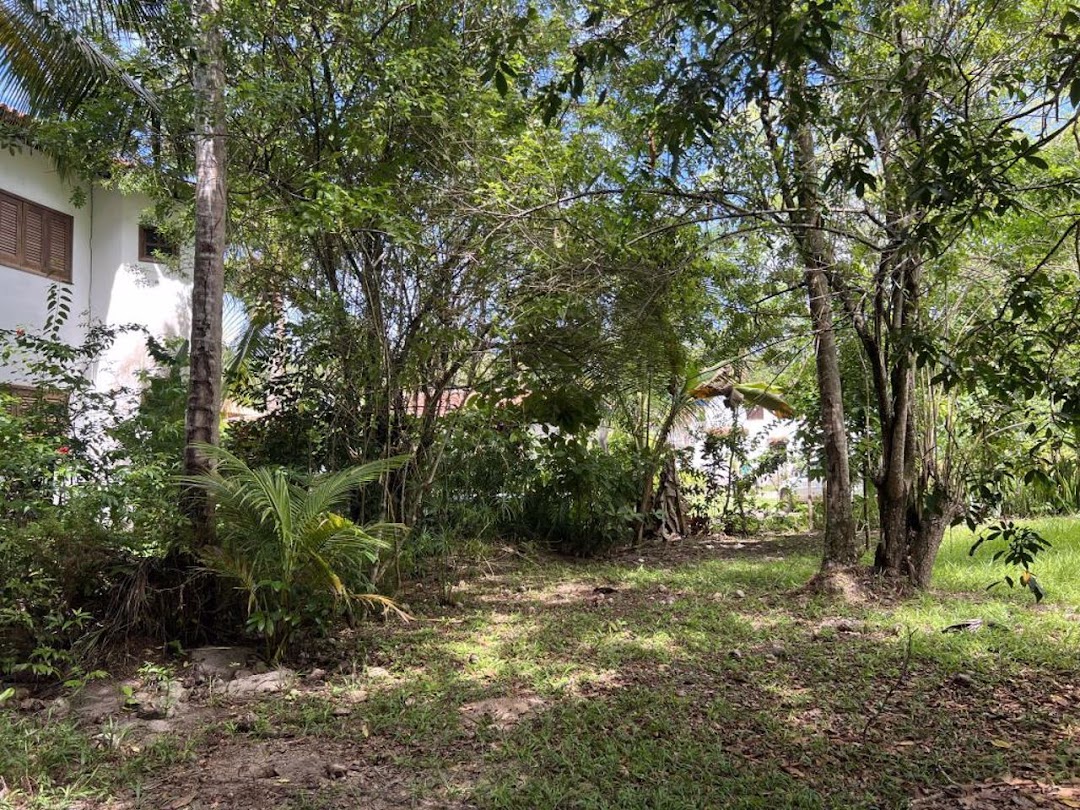 S3vKX0kdjvDmGoehZ0RgX6sNzEHcnrY24dF6h8gAb483KuuPscBna7fiuS8QZD-ZWKCIu7L8h4VJcAv0qAn0gfPVnzObWfKkJn0ypMN_03rBuEnh=w1080-h1920