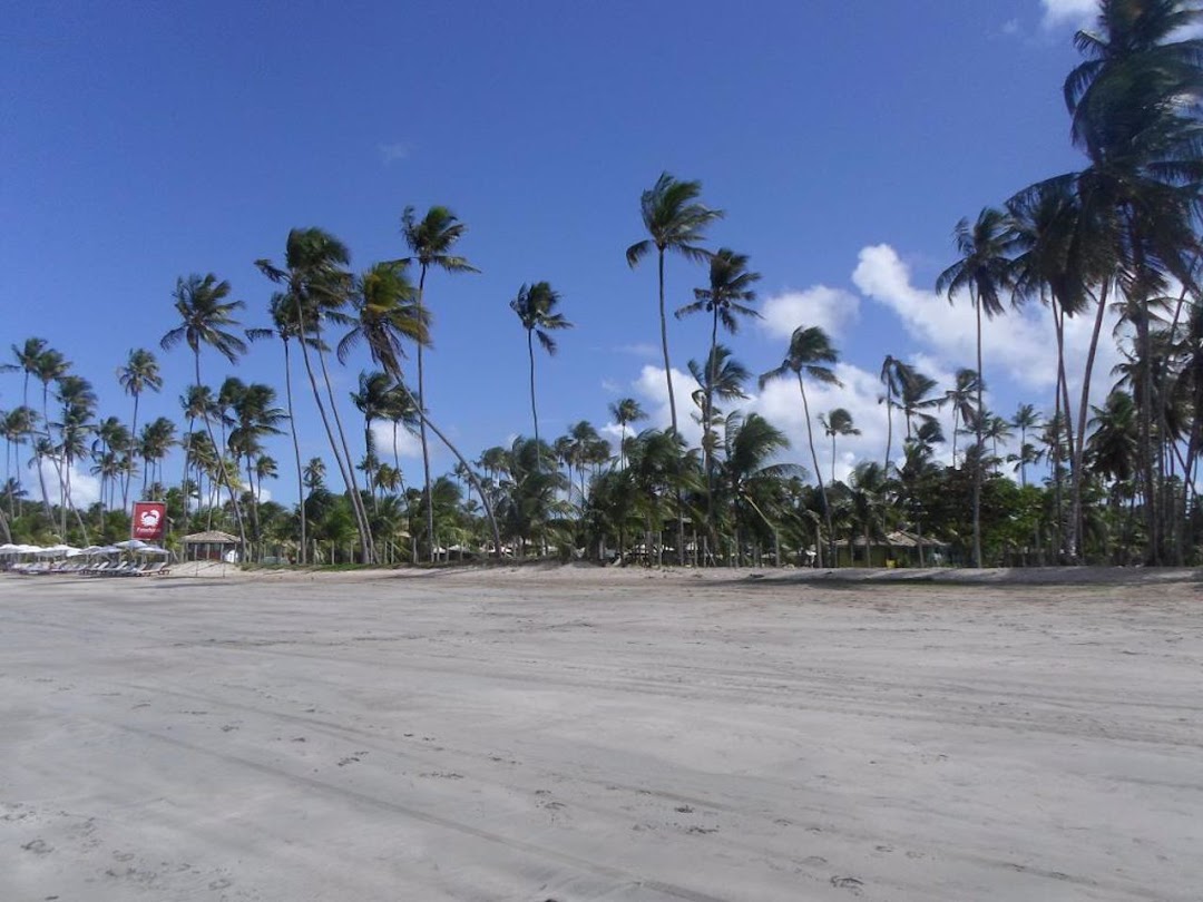 TSU8btEfxw-k7lQWnEFMOk7W_sTN6wUF5EngrXVol9AjeGbMO8sELBR9uScTeoeGwpSHnH11IDY5PNqqrBcKFkWghUrUCTlxq-qJOPUIeT1VRXQ=w1080-h1920