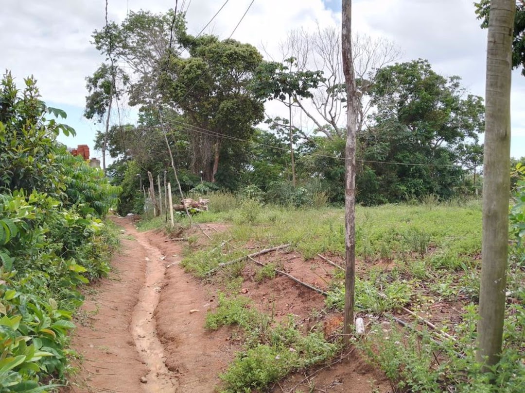 UcnVEjzgeptR-b0EkDZt2QBSzsKPGELwvAJ5DiklIvDpYKXHMrBhJLQgnWRSB2Iz3Sn2LnUdQNP-8G6w86wNTdthGKKA-2caytGyc98m20MEA-8-=w1080-h1920