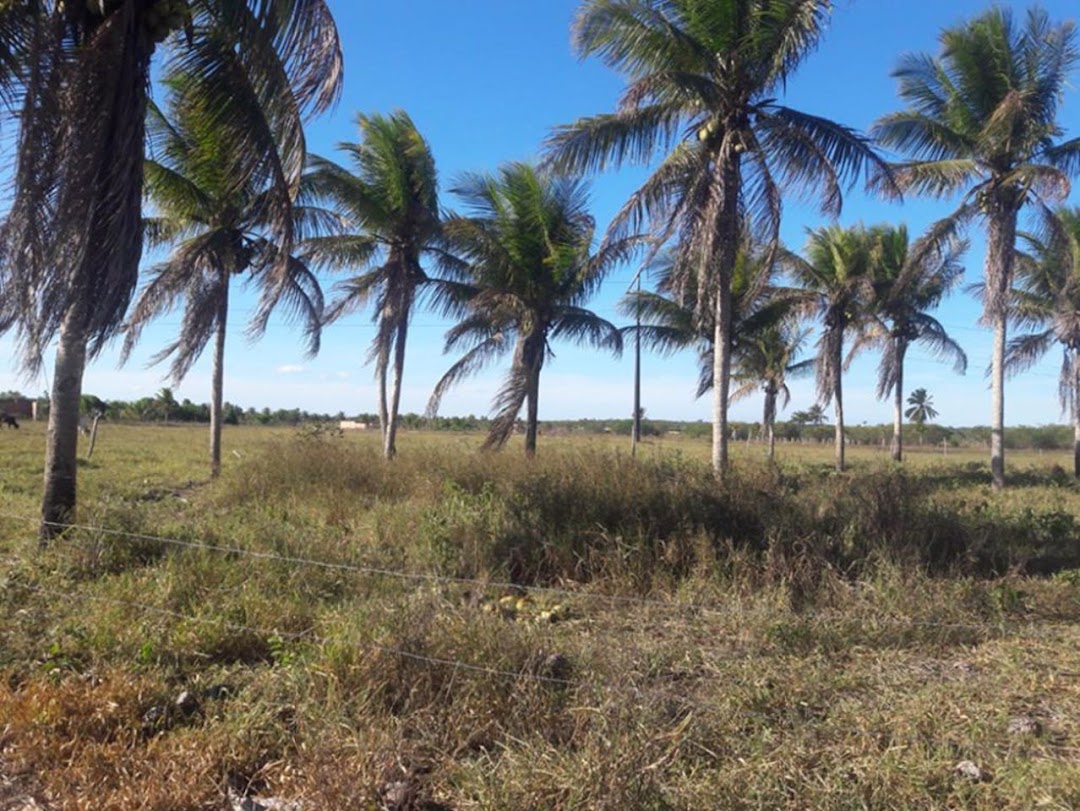 VMOuBX46dpumrF6eyvPTEFW-t67Ss5xTbqMtedK3GFD4FSCktjThmVnecLRgCp1-koxnb19MKvXk6xh9oMs8_nF2ye-LQLaslLeG-pXs8AVxsA=w1080-h1920