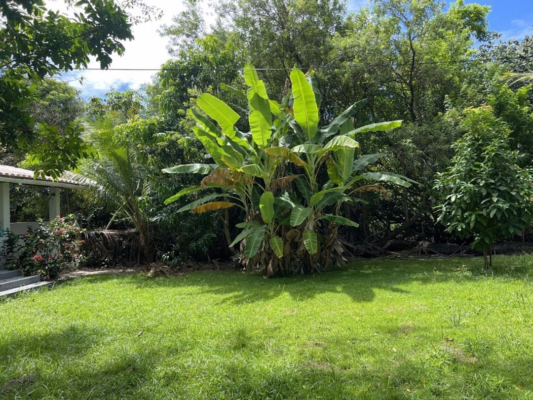 Y4V8P1-Zqhb4fiQgwn2o-W8bLx9Est3re0xr1Z4GeSrJsaLueHEoll2LxGUIjmxg9T1VPfPis7zgQXIPLiE0G8AL2eAtv1FOMSBBaNoziKSSgL0=w1080-h1920