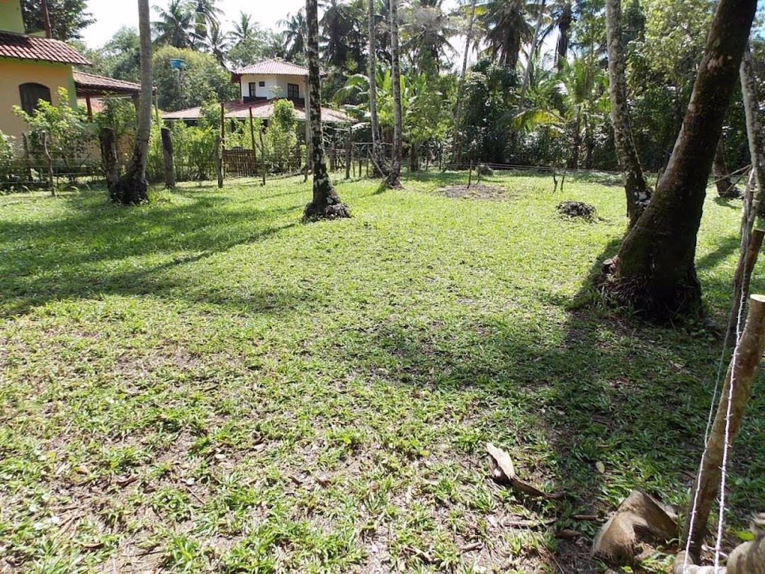 ZnBN0O-9mluPkqYBXUEEZyWCP7qHv30R4mF8vsgMUtodjtpcW8_JPrYqk811GW4-rJI7Aw8TF_6FENmdC7N27wW0b_y0-VBA8bKqAHztilL5KQ=w1080-h1920