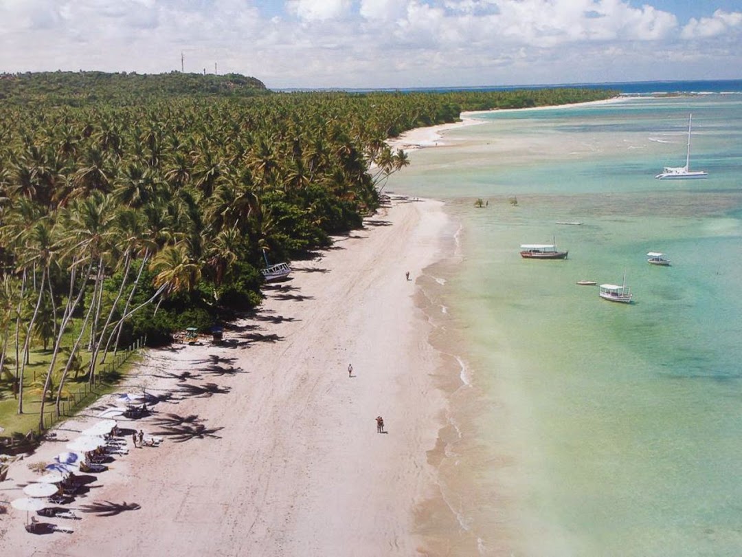 a7KP8fOTGqXrceLtkO_Dp_i0hVjP2JA01lHtVfqqU6af8QCDVaRGp66M2yICwHDP5PzytLAthcZy4QJfPHJZuLXU5ezZqc5Sw4oRr8KpquOnNnQ=w1080-h1920