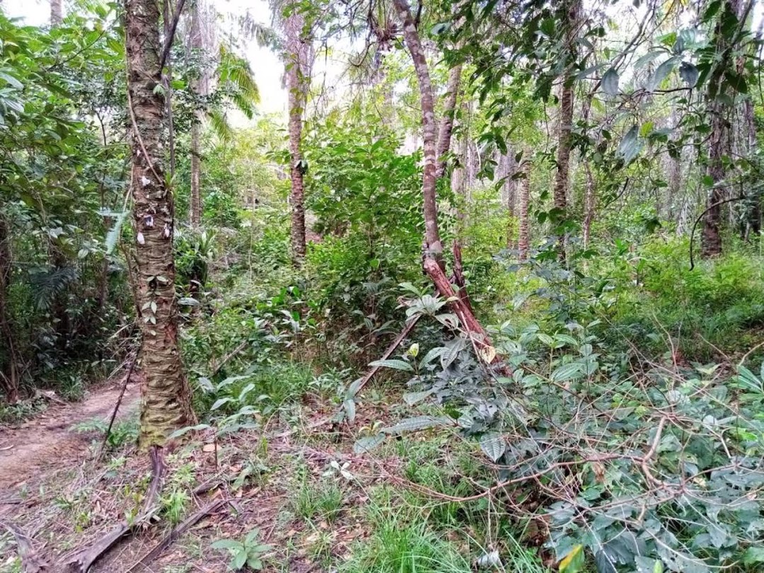 b-F6cxif-4himoOaR5oG3t7RMrsEnKFuLdFiECBDWldqLCbOgn5QfqSzigYzIO9224B64gObk0LGiJRyl1ud3MzKlArioWCT9hQg698nYXWetGw=w1080-h1920