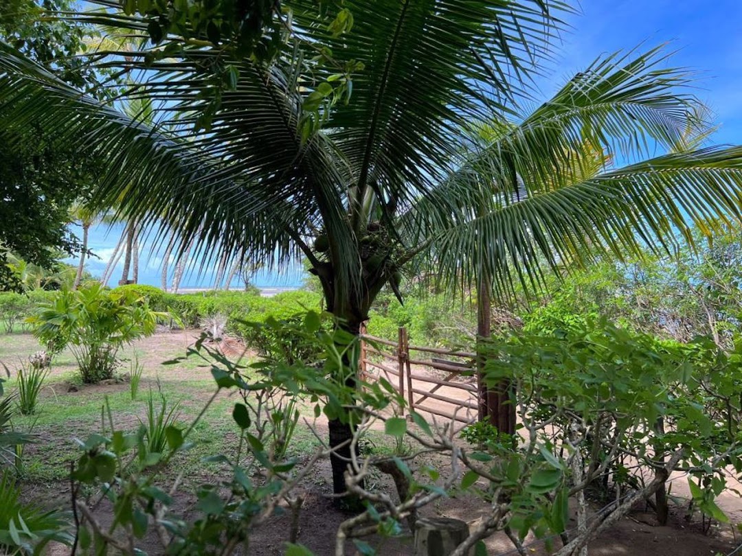 d9HM3g4_4T2x53wCr_KxkY90uI4Akf80JHoHQmTGRQUos_aB64V6yyzezZbVgGyy8U7GI__NR8MO88vEEMIAQPCBqxFUDQjZqF2x7T4nWGirhA=w1080-h1920