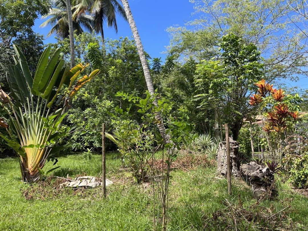 hcgAkk9raMZ4h2CM3Co5AgF74CuBZOCcnx9mligkapP9IgvieDoiZa9QGlvM5dkbXJrUeoiCtjqqJVZJ5mULbBxBIgfVFOqZdpimCHI8xG0=w1080-h1920