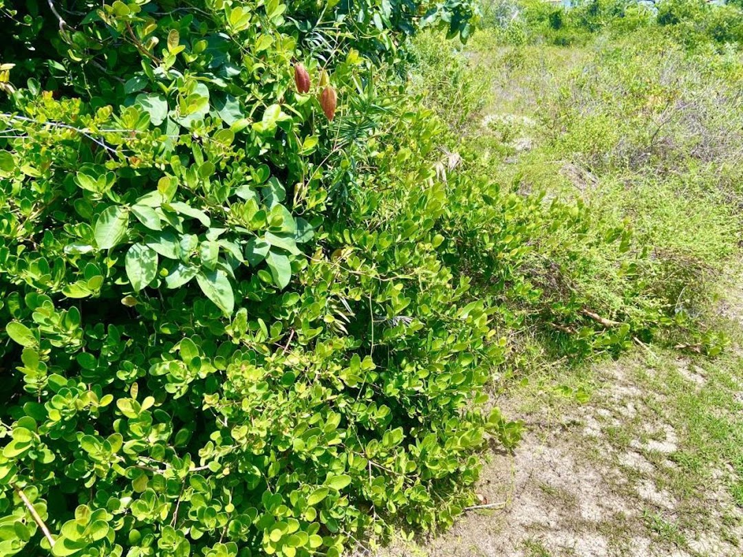 jWWUkCDCe9t2oQtiRqtYQ-RjKPKcNdTizDwYZItGIHIQF-xJHXjK_uHvE62mIdMUJ9RCMy481WWG3vJ-tOjcjivo_wEC30rdPdv3seHyqaki6A=w1080-h1920