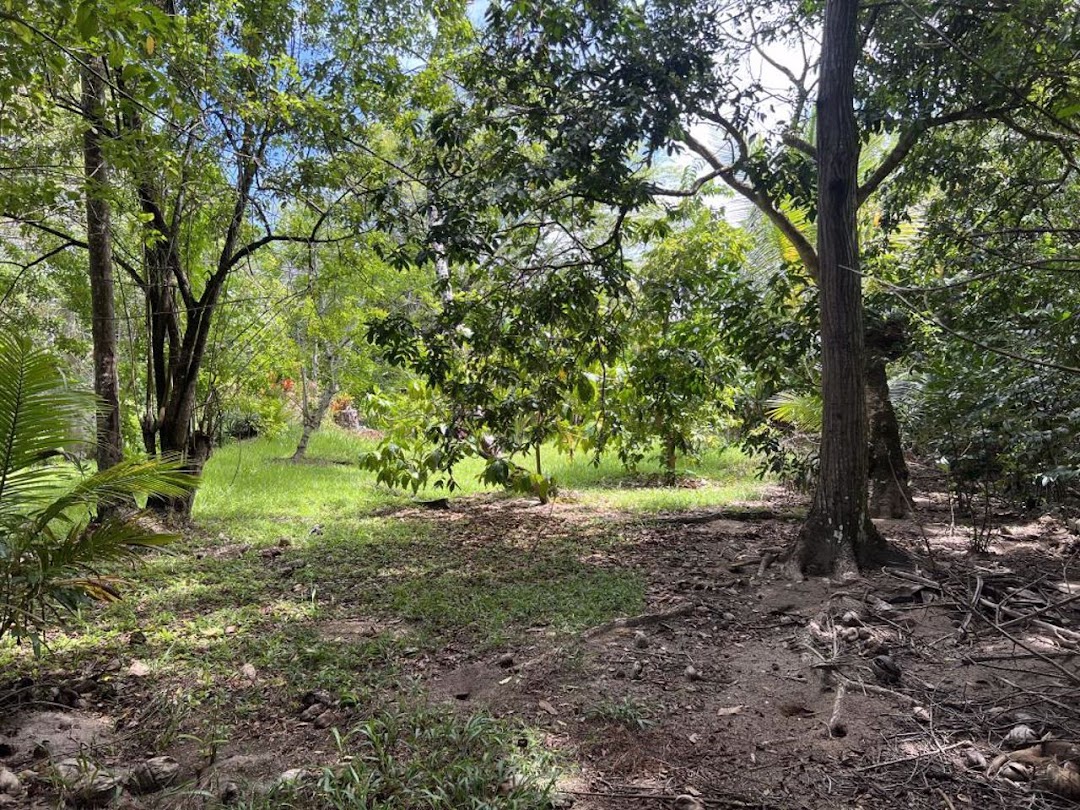 j_T8143IQ225_MFzum7q4l8NCRiyQJlmk0uYHiPjI7cNiMp_DQCLDnIjYOXFFazpx8e5E83q2K5HkN5aCsHp-MyD94X9zFKsN82rm5ynkAf_tPYT=w1080-h1920