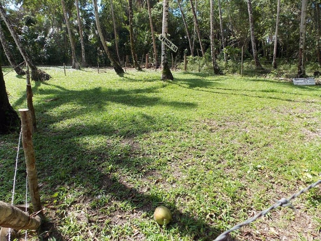 kwaK0En32Y2aLmuaj3zXwBWaUcKssfGHr0FQiQSpM3FoagJp5YVTMWRdaWjzGtrUfWvCa7_q3eTfTJiZLkEvlkc4WlWPpqIrrDBkLzGXzOO4P_tQ=w1080-h1920