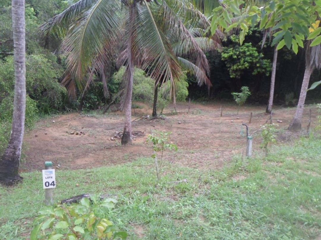 lJMaK4lC9jIasa1HAJnj9VE7iELUMLS5mXCuaxDRoJKPjAXw9UZKUUfNbhDEQTK7EjEtiB5zM2NusZrAR3xnsH-2PFHqjOdzNqivqlDXkdqDYwf8=w1080-h1920