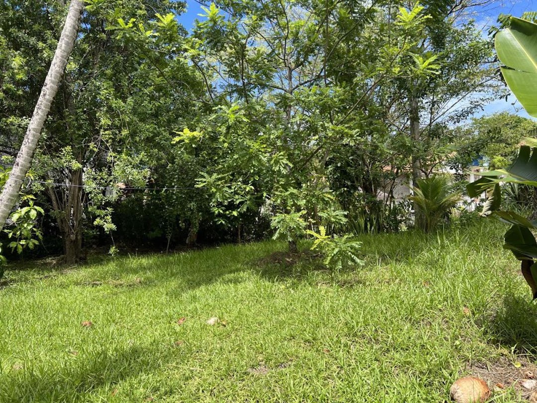 l_ERhJdX6b_LCJju77eTRDAsKjTCMmSbEAYGfxcD6NXVPPEtxq5U_XeKh4Y9GTDxTczvhc6AQ2M03T36DNPki4DR3pkGX_3cH5Rmv-iVUx2klyA=w1080-h1920