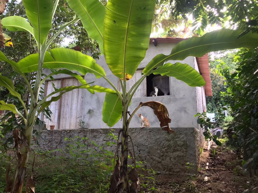 mRBWM17FV0B9CSSGjLaV-OaP-YiTZppdeYUJRbO1JoKCEQNQjYOX8jmn-mTFDFG2ZIQPHBr826d6sSITnPhBB2kUg7ME6Xjd0x4BX9IrvEQQQwY=w1080-h1920