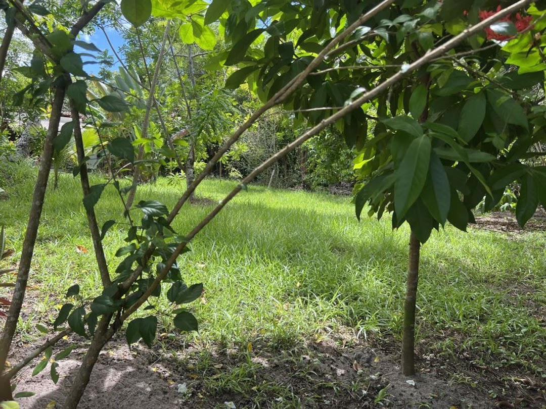 mbmhgtJNXUimjVNerefJlDjboJOTOL6OZPwmCazxJXO779gAbJLbXOc3tWzMYF9gUTgfDkh16dMe0qtyIqOhKGBHiorQW-FizRUdi-6u64d3fH4=w1080-h1920