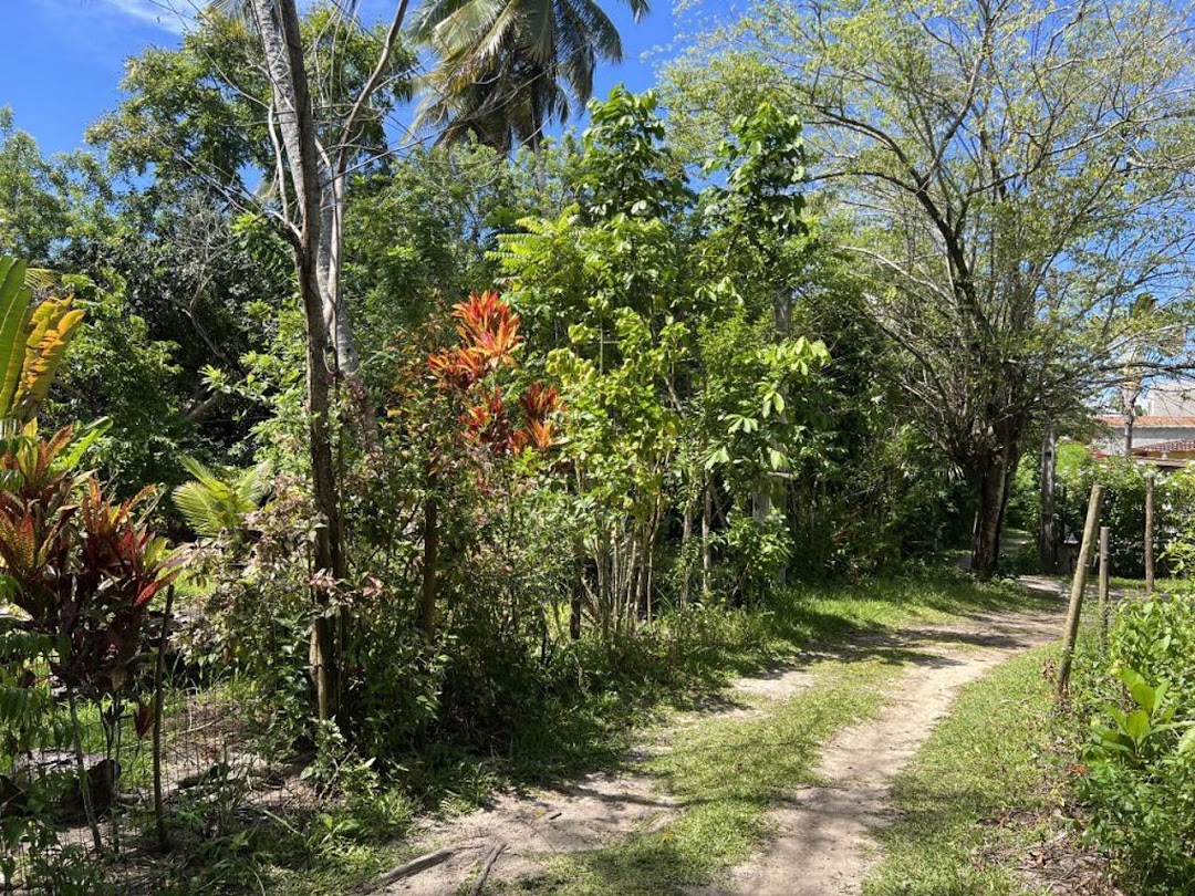 qTxkrLomdyVHejEDGRQ0QUT4KWESqL0vzY8_lKDMls0PvmKxyA_Kb_xJt9hg3UANHts3yVV5kj26o8LfzeZZPUOPSUlR9hnxcDprYP-KcfbZ5_8=w1080-h1920