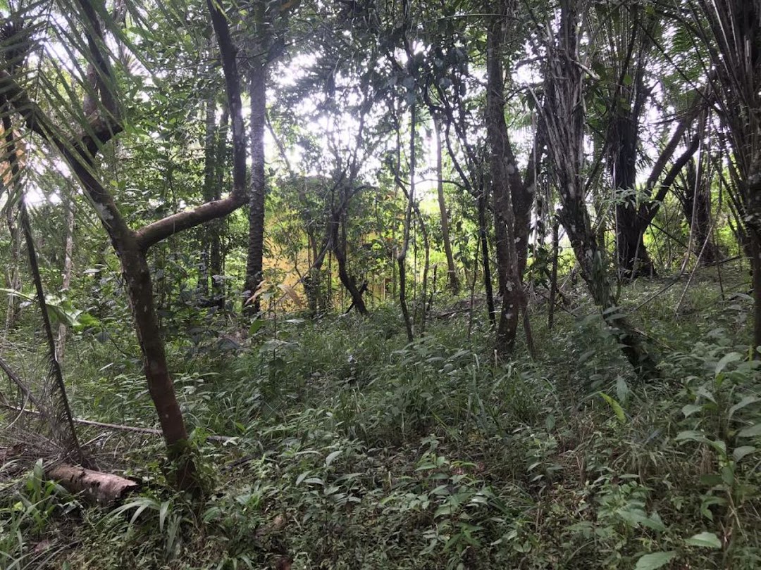 rzez2VRHyHACprv4Bvi_FwdX5tZ-5ZEVj_rtFd3NIVyzq-kECGcLLv7KIvB3G30zlO5AVIQZDA1tvUu7XD1yVZYtVeZ_HonK0cYdBEV4dx_aUbzF=w1080-h1920