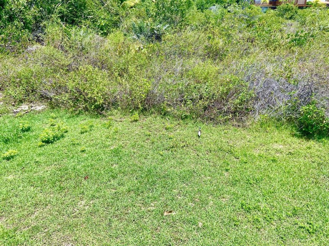 uwuz8OpkaMju04s0EoRjO8b56c3mBhMuZVyjMVlnVcU5cbkOVnqXeEAo77Gns_iPlH4I4K42SGj_8dlpsAqKVFIqACzeYZ9ckNWOw7KNUc_jTwg=w1080-h1920