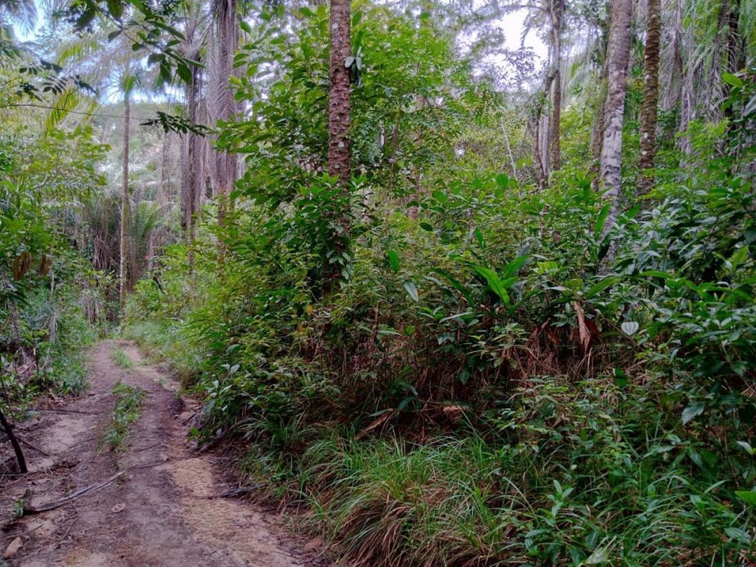 v4JRJGVN43fag8HklKh2YtngnuU9Tp5cJXK0-Sq50YsieksKKAs3z7QWvDnsXAgvr3w09DPNNiqDtCGy_e0tm9X8WRZr660fW9uL3A3Dk4UURg=w1080-h1920