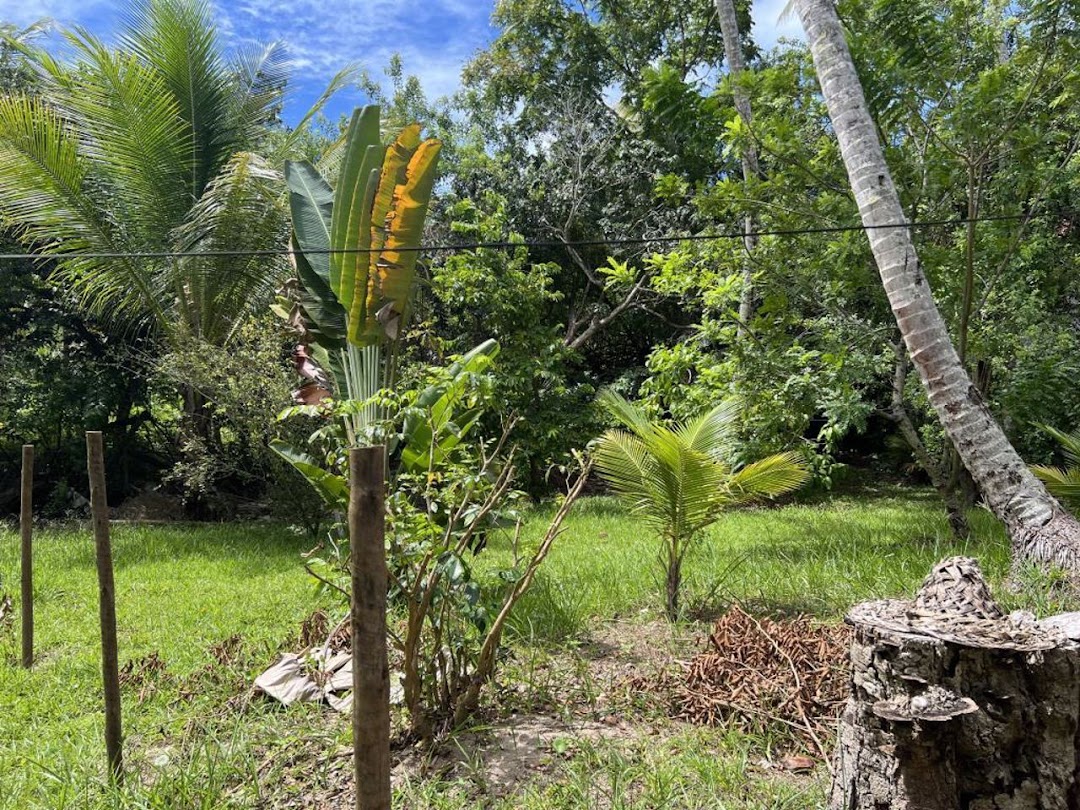 vOBjlb3n86J-EIpmiJPCr6acD9IISAI14ED5uXyCmFvUQNvezcz5n46fKBSGrhi2TeTq4V_WxRhQUMnxFdvR0Z8kJUaptq2WqEmFJ49u6LxvbKMn=w1080-h1920