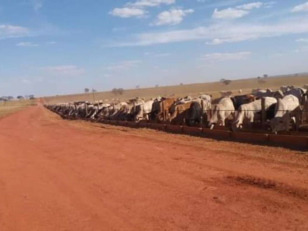 yEp-hdFYf8aax-fi7lc5DsnTqSljos3CqDrzwL40-l2cxMGtZ2THl7NOqiHWhmzCQH8VCROeP4zye0Hud0sxCYVw5A3dFtRunAl7chQAYKls5aI=w1080-h1920