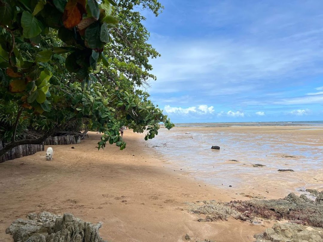 ycqP_sZmMZDhgaiduQTHyNSsG9vNbRNLei38Oprn4k3xlkv47V7ogLFequUtgzAOs3sxSyYN4ts4hRv3kPCBro8HbQsm79UlgdalrgljcGxurg=w1080-h1920