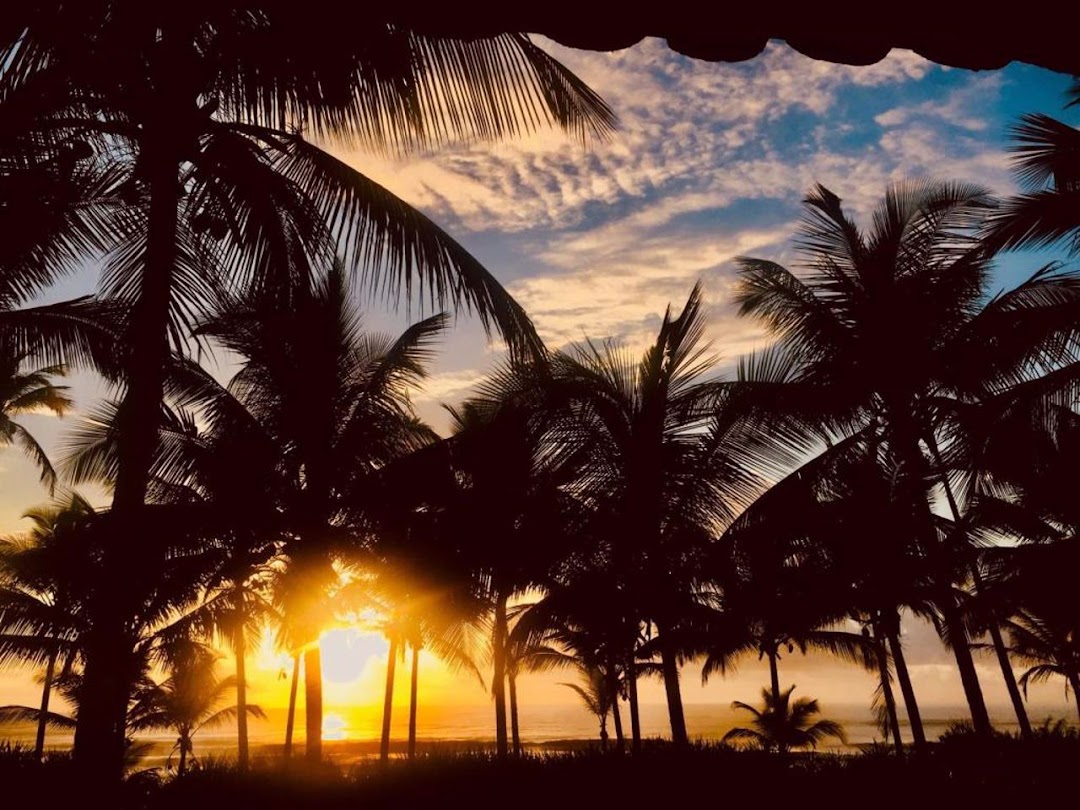 z52JnOhYHvANJI5R7vS0AL5yISrvtqjHxnu0mB7oOwaWbgXy2mo_pJfv2WzQ3Wl9VoGMyPkXusK0ObaBaVitA4OgAhtfqvN9NeXI5rKmYTfjRx4=w1080-h1920