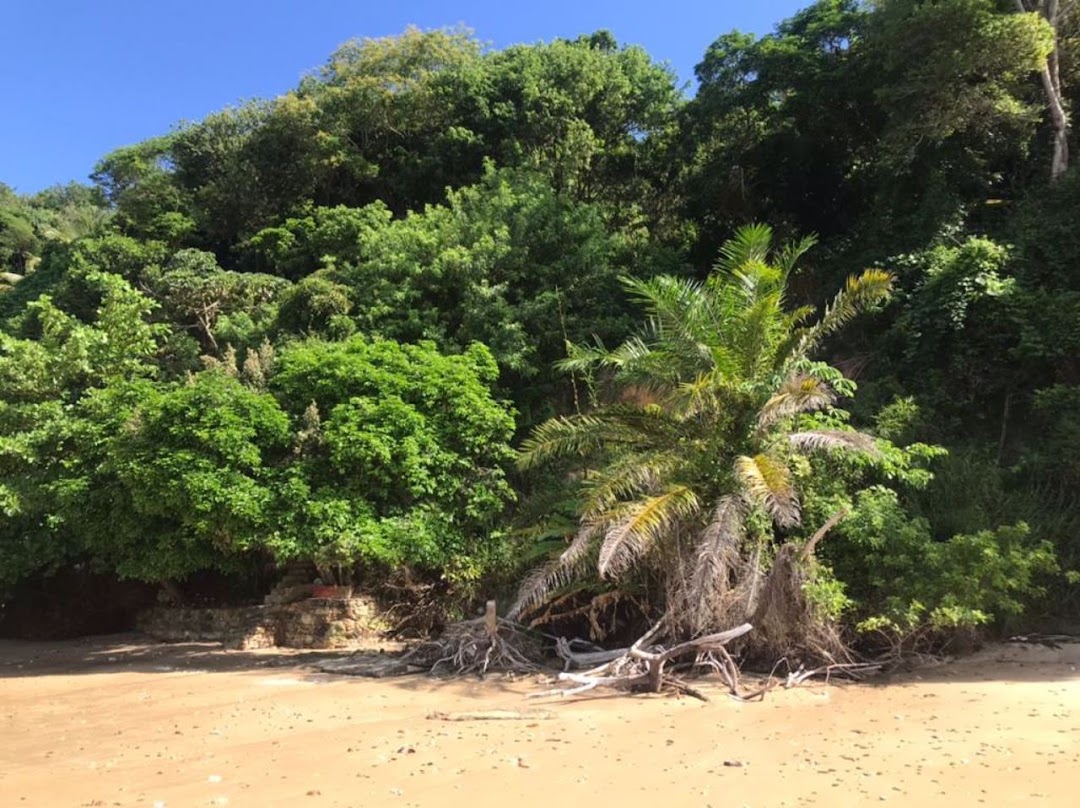 zNactfC1ZuJu1C7ybvQc_DbwAuDMtkP7yGKNtTdDB47jHfPQKsbiqLdvS9mPf9o6SEJ8mcmk2TOmMBi7WCDL7iPvfIbGTK_WVFuZxD8G0L5gBrJJ=w1080-h1920