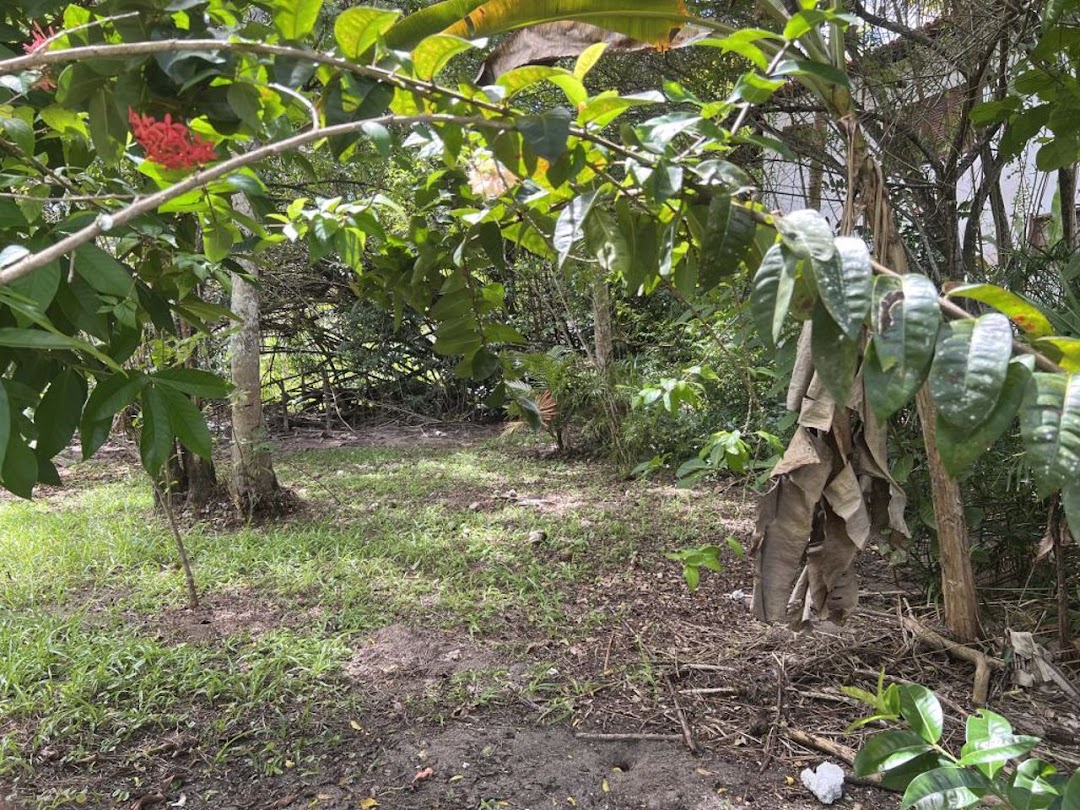 zVPirpRs37vmZEpei6pIlFA6dd1OZ_fZxob92Of7NmqUo3RldDuQ7kudRikjVAs0sO0HdOE9caC6nGwV4yGfyo709JDwP6BtkvS2W9n82uEgob8=w1080-h1920