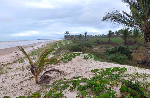 Beachfront Land in Belmonte
