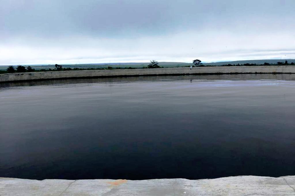 Livestock Farm 1,500 Head of Cattle