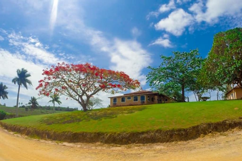 Mega Cocoa, Livestock and Rubber Farm