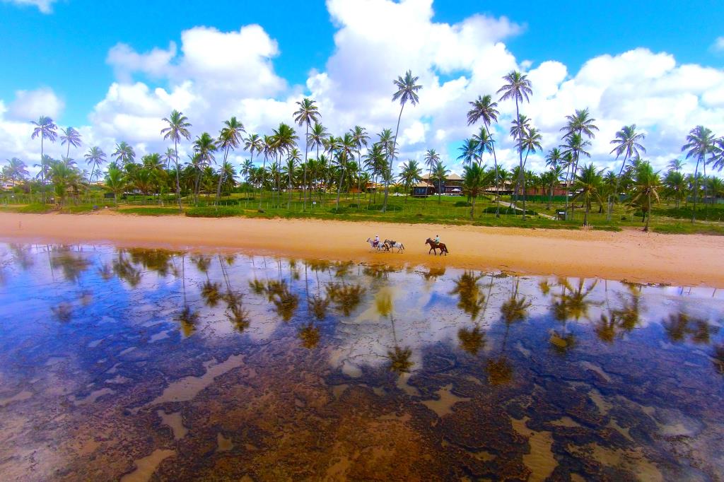 Praia do Forte - Best Beachfront House