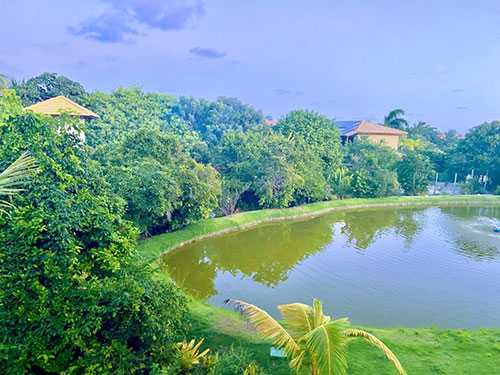 Premium Three-Bedroom East-Facing Apartment